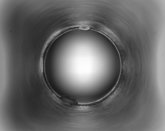 X0000098111180200804111049