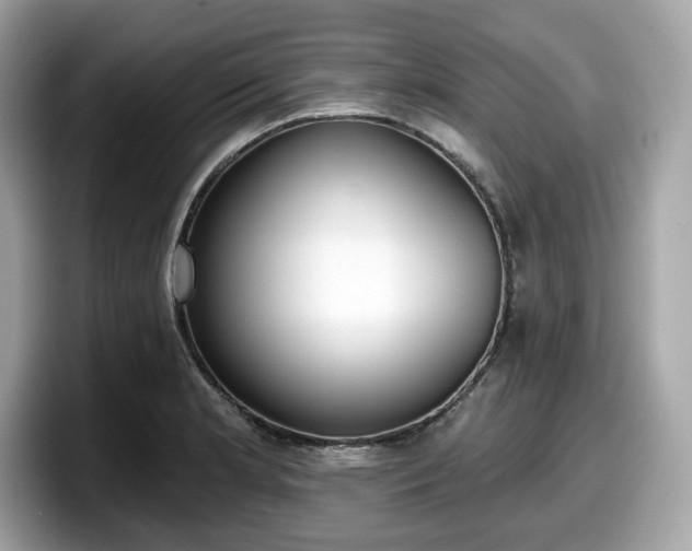 X0000098111181200804111049