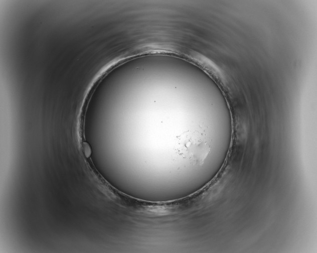 X0000098111182200804111049