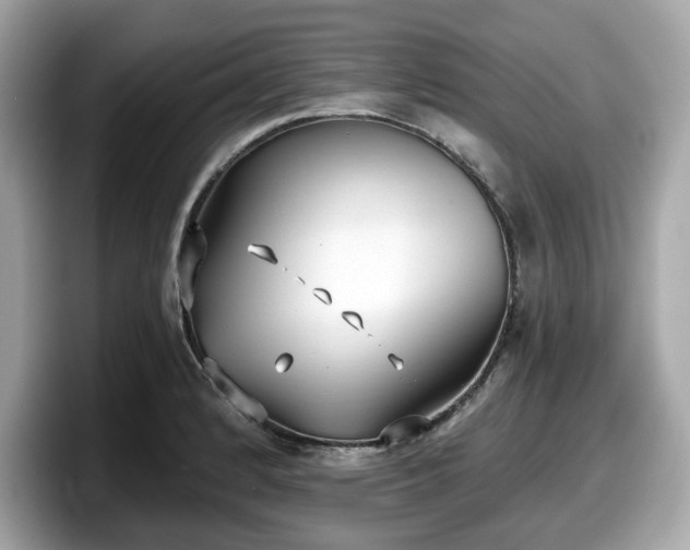 X0000098111184200804111049