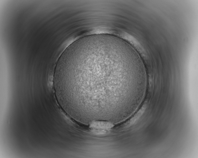 X0000098111185200804111049