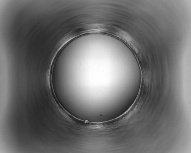 X0000098111186200804111049