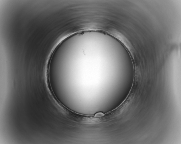 X0000098111187200804111049