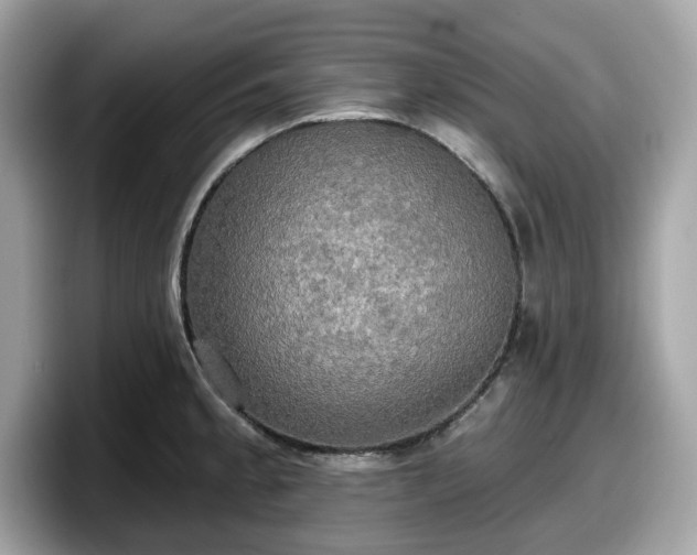 X0000098111189200804111049