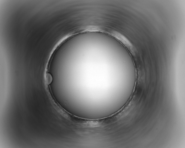 X0000098111190200804111049