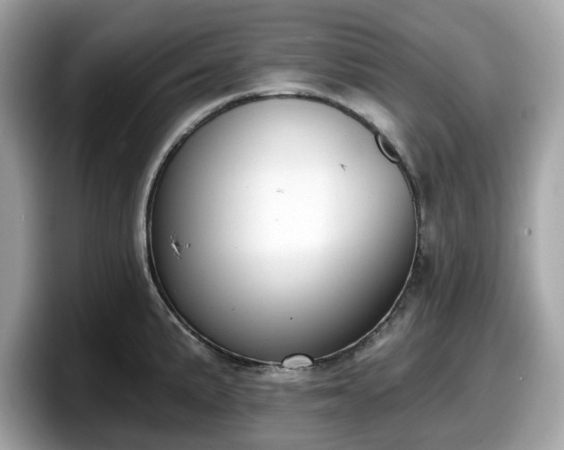 X0000098111191200804111049