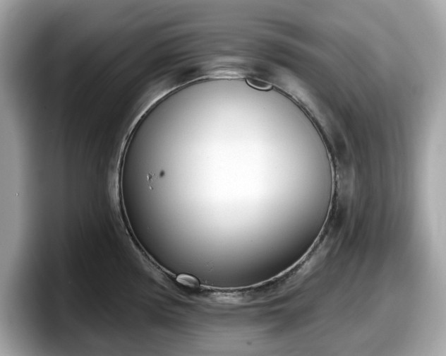 X0000098111194200804111049