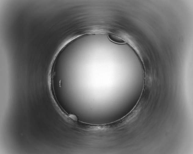 X0000098111195200804111049