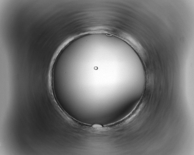 X0000098111196200804111049