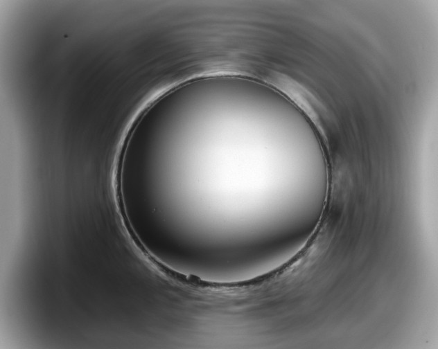 X0000098111197200804111049