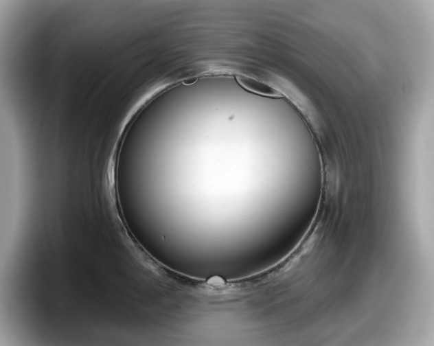 X0000098111198200804111049