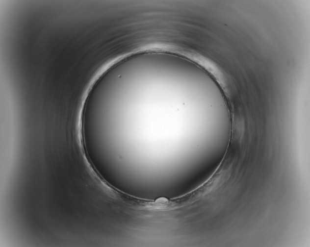 X0000098111199200804111049