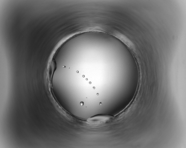 X0000098111200200804111049