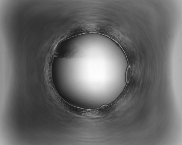 X0000098111201200804111048