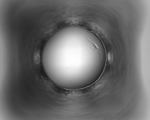 X0000098111203200804111048