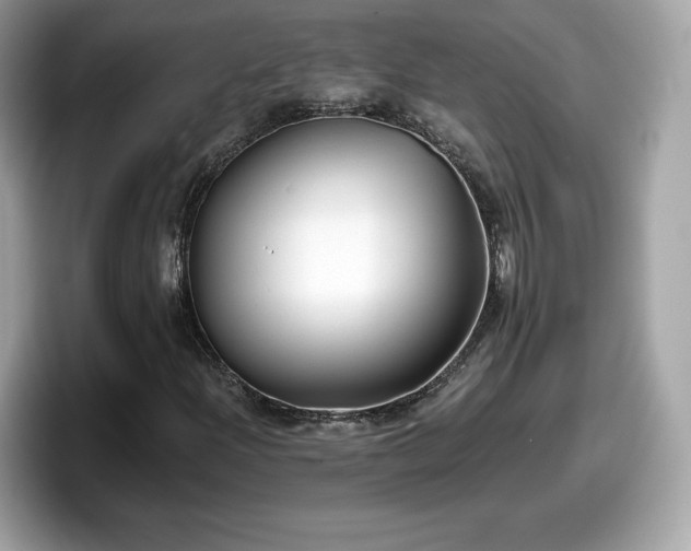 X0000098111204200804111048