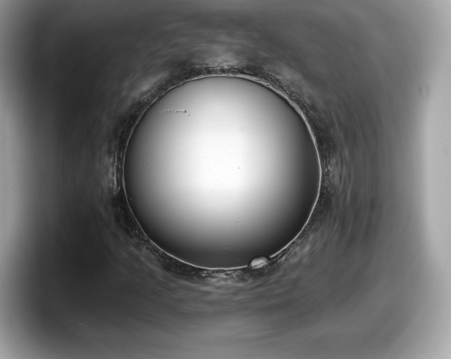 X0000098111205200804111048