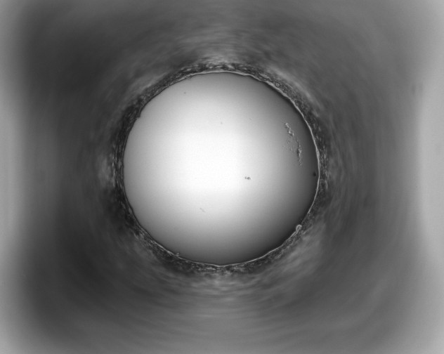 X0000098111207200804111048