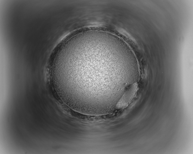 X0000098111208200804111048