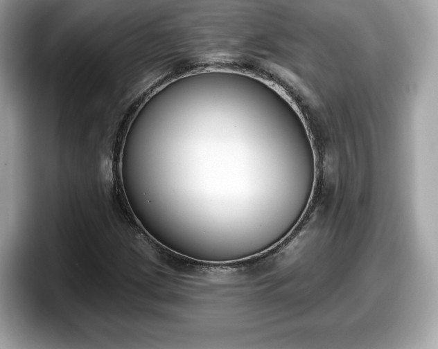 X0000098111209200804111048