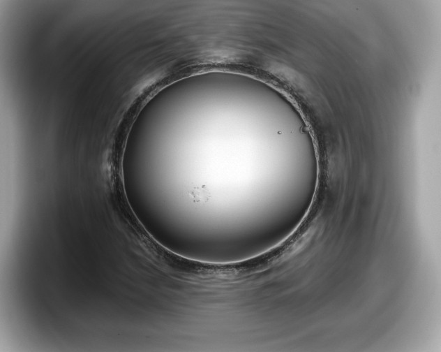 X0000098111210200804111048