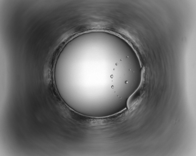 X0000098111211200804111048