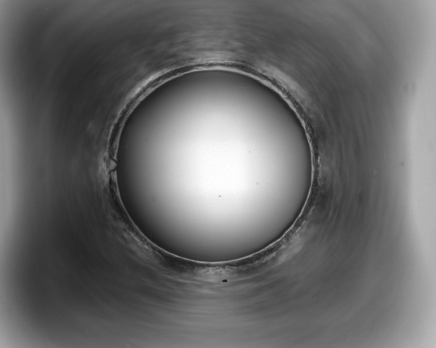 X0000098111212200804111048