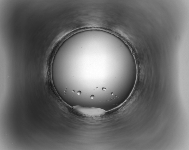 X0000098111215200804111048