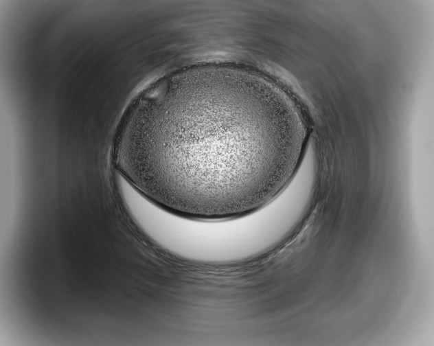 X0000098111218200804111048