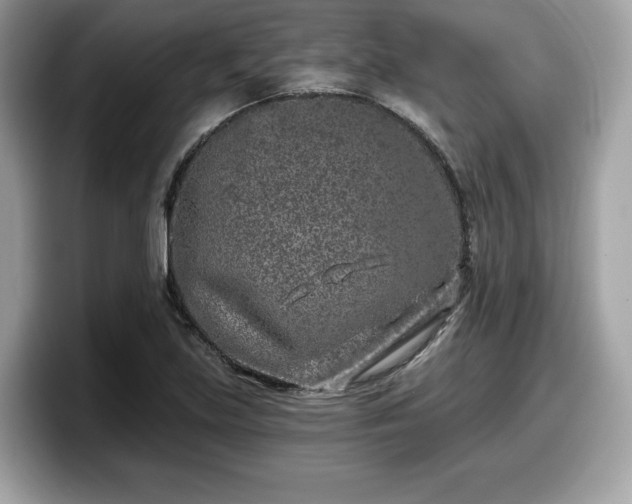 X0000098111219200804111048