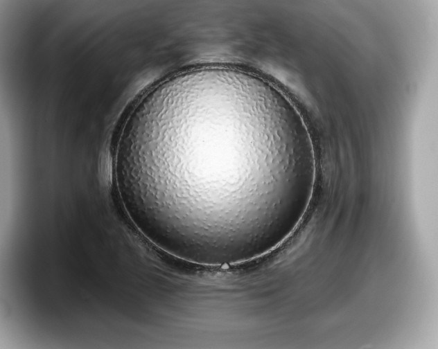X0000098111221200804111048