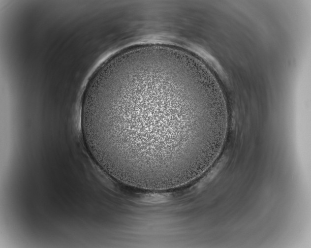 X0000098111224200804111048