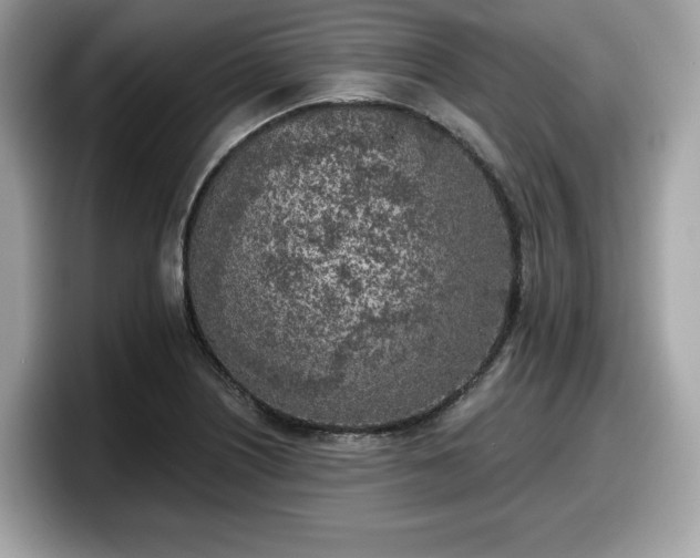 X0000098111226200804111048