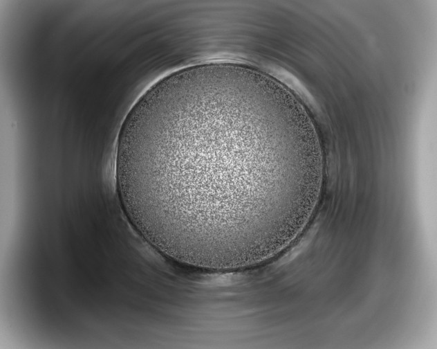 X0000098111228200804111048