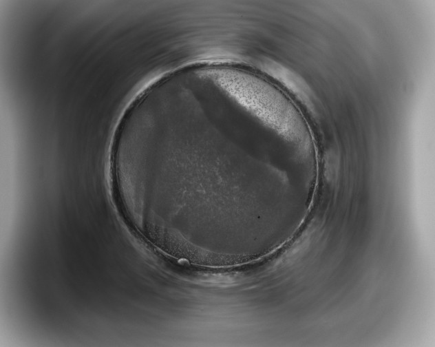 X0000098111229200804111048