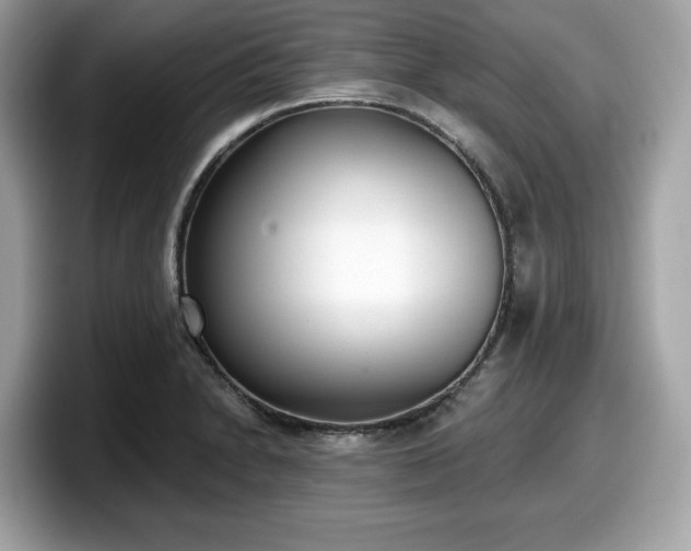 X0000098111230200804111049