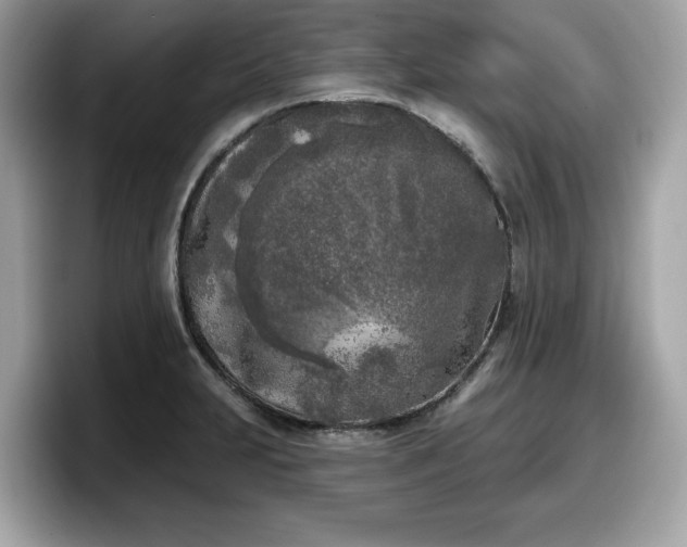 X0000098111231200804111049