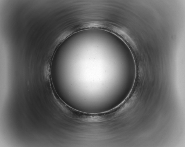 X0000098111233200804111049