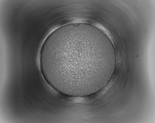X0000098111235200804111049