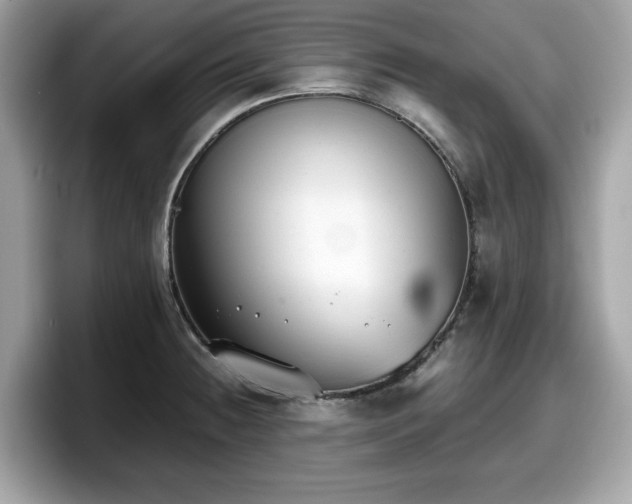 X0000098111236200804111049