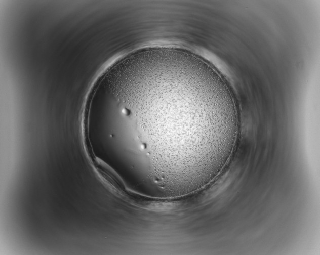 X0000098111237200804111049