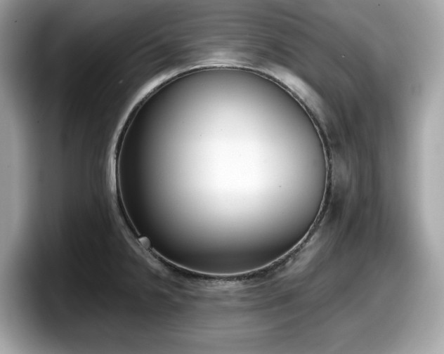 X0000098111238200804111049