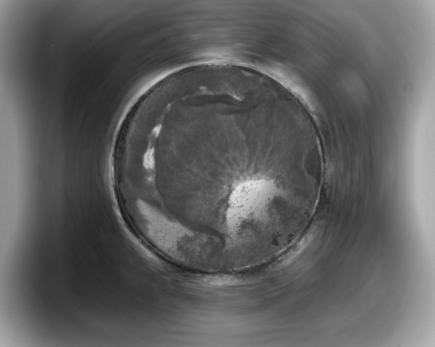 X0000098111239200804111049