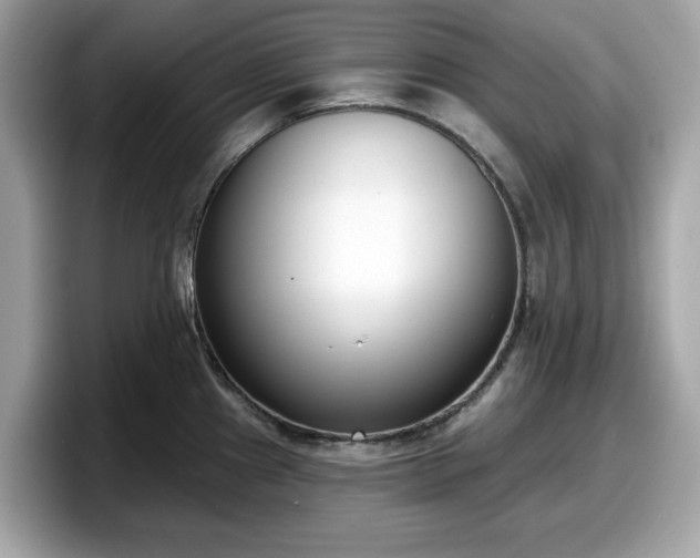 X0000098111241200804111049