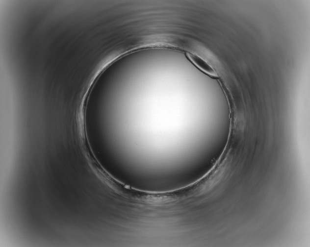 X0000098111242200804111049