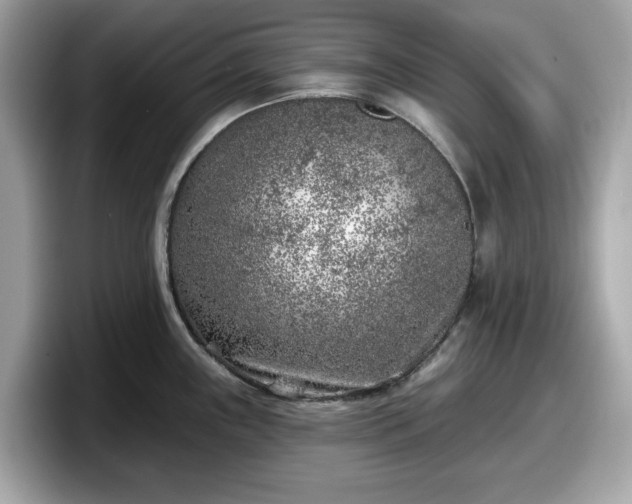 X0000098111243200804111049