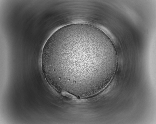 X0000098111244200804111049