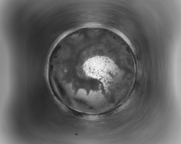 X0000098111245200804111049