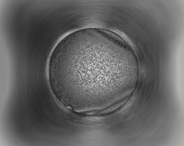 X0000098111246200804111049
