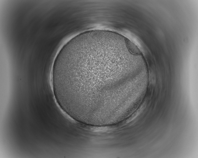 X0000098111247200804111049
